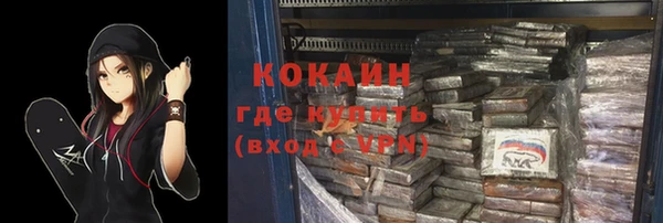 стаф Абинск