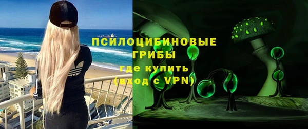 стаф Абинск