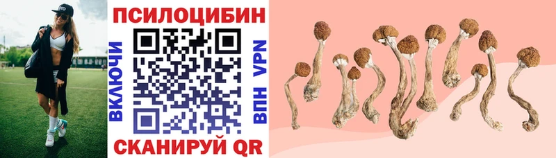 сколько стоит  Инсар  Галлюциногенные грибы ЛСД 